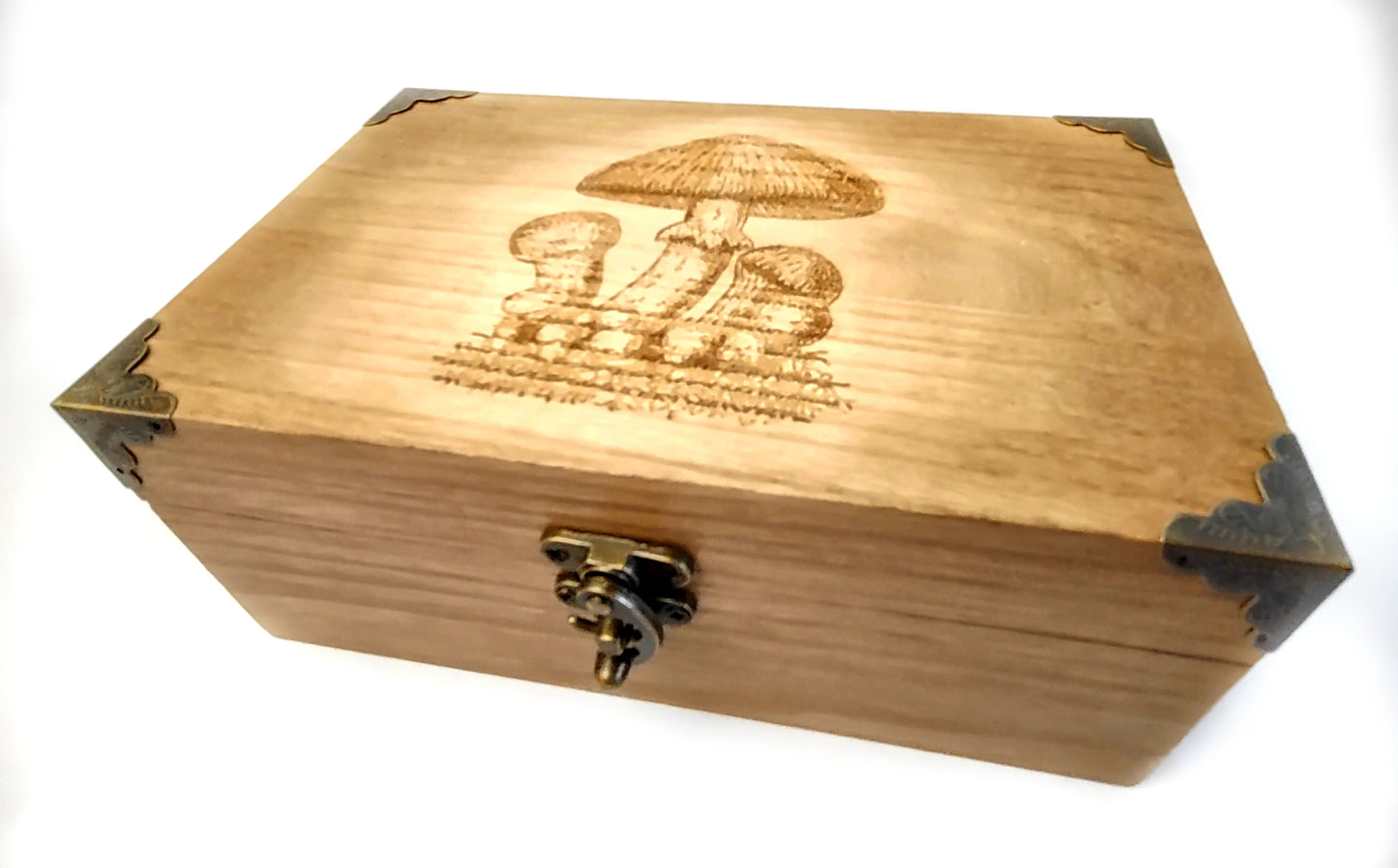 Magnificant Mushrooms Wooden Box - Hard Candy Woodshop