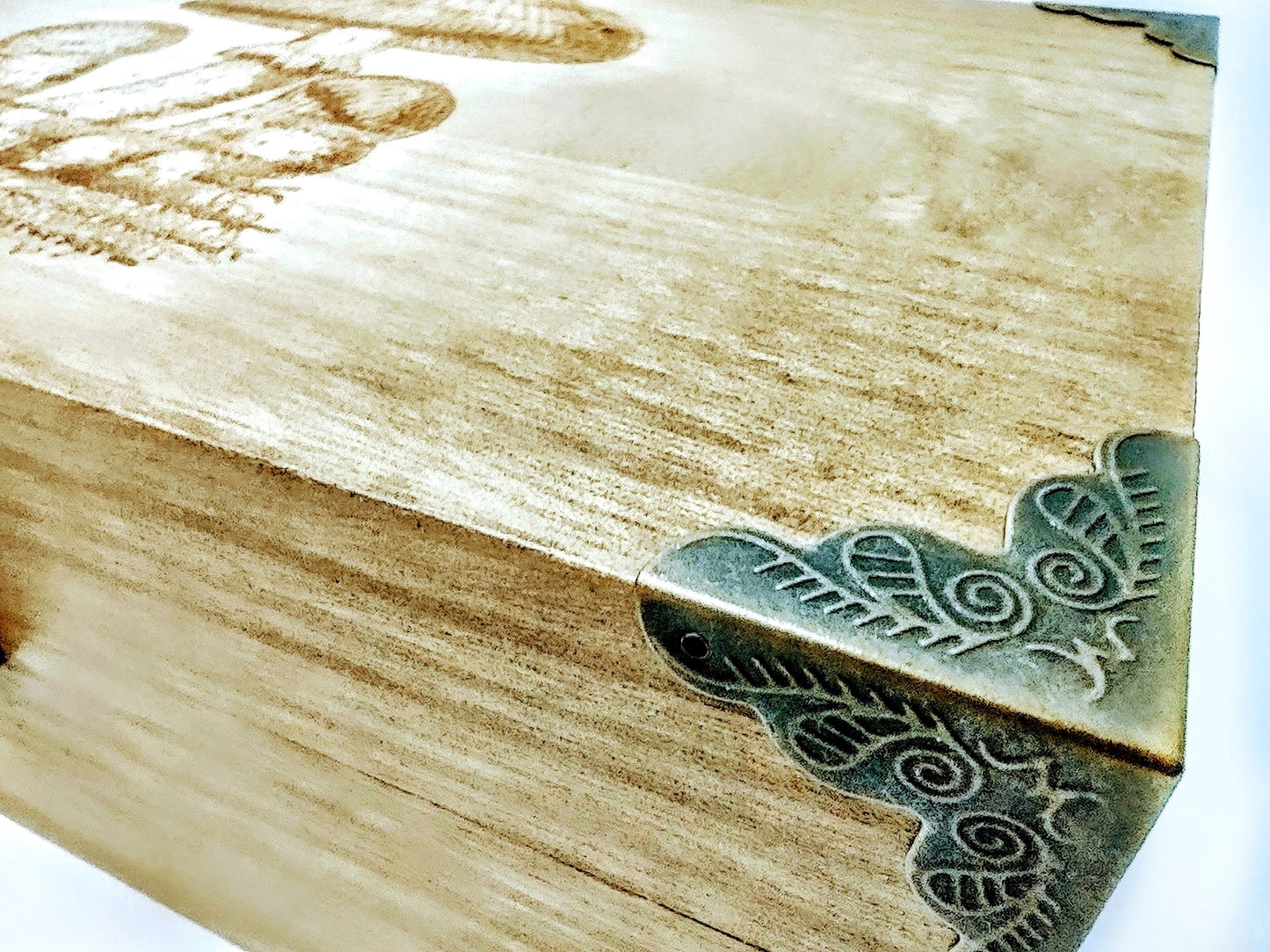 Magnificant Mushrooms Wooden Box - Hard Candy Woodshop