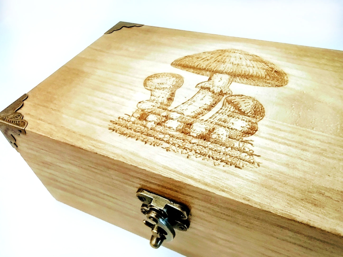 Magnificant Mushrooms Wooden Box - Hard Candy Woodshop